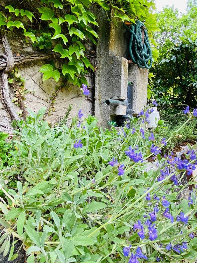 Les Chambres D'Hotes Du Bois Joli Semur-en-Auxois Exterior foto
